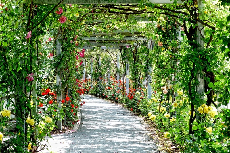 Pergola Garden Structure